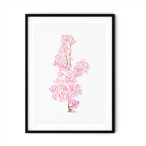 Sakura Ni painting in black frame.
