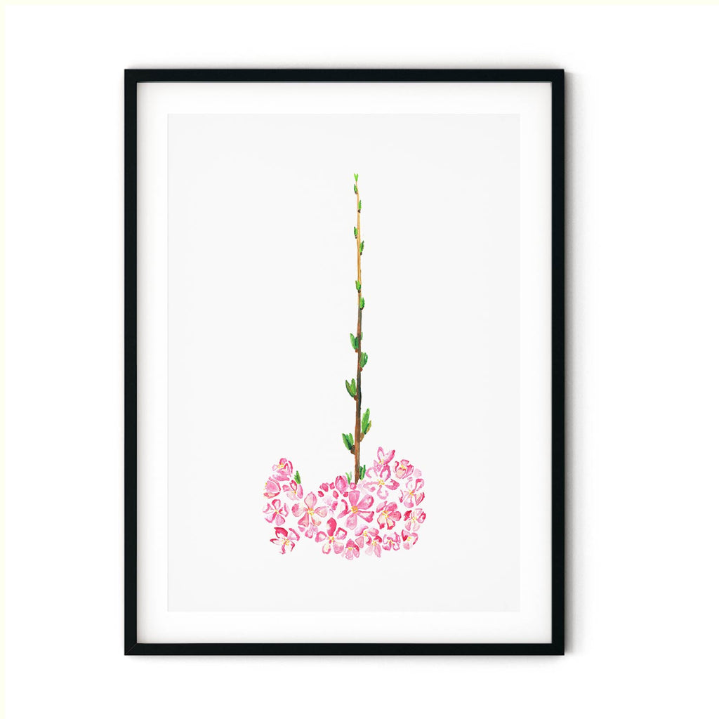 SAKURA 5 in a black frame