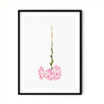 SAKURA 5 in a black frame
