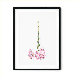 SAKURA 5 in a black frame
