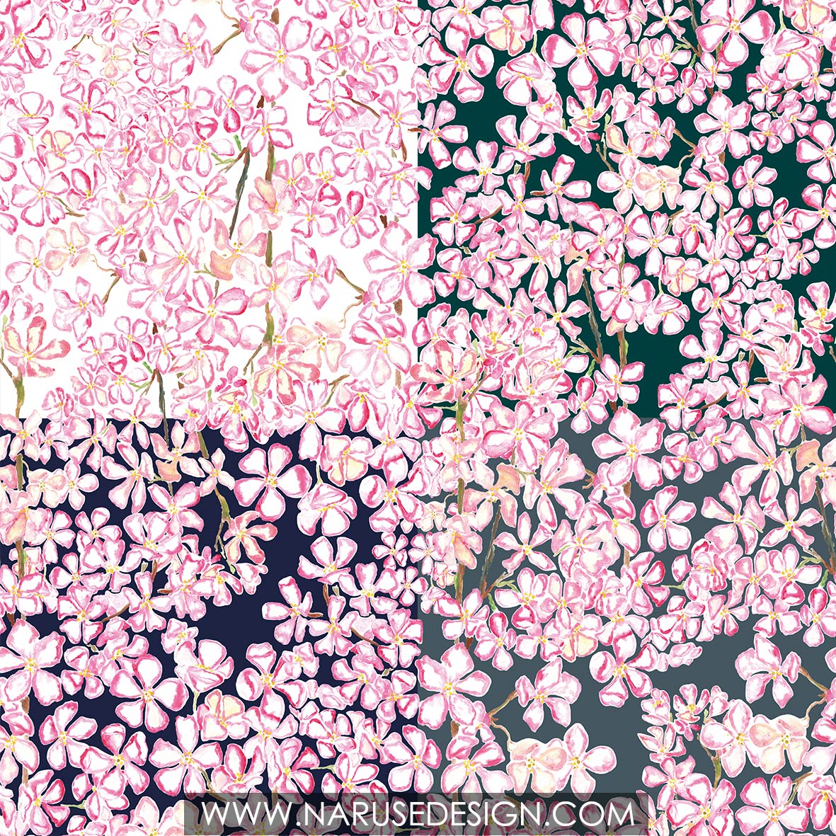 Sakura Mankai - Wallpaper/ Naruse Design