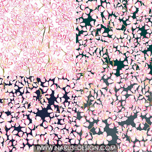 Sakura Mankai - Wallpaper/ Naruse Design