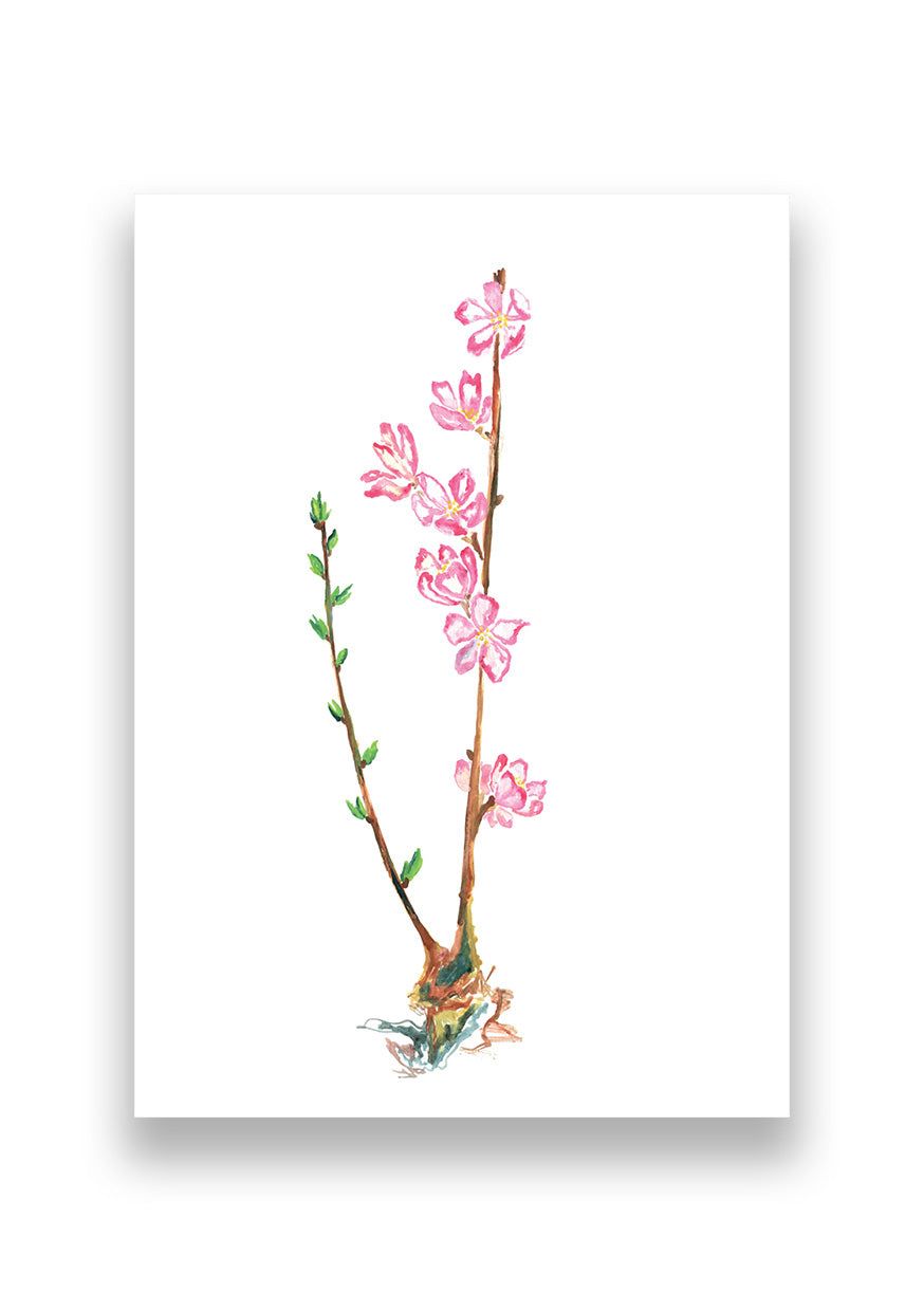 Hand-painted Greeting Cards