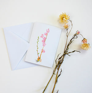Hand-painted Greeting Cards