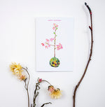 Hand-painted Greeting Cards