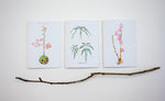 Hand-painted Greeting Cards