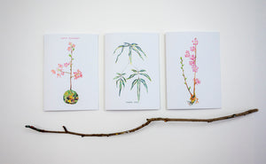 Hand-painted Greeting Cards