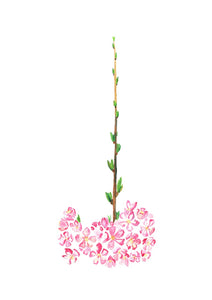 Sakura painting 5. Hand paintined cherry blossom with a cluster of sakura on the bottom like a bowl with one vertical branch growing upwards from the centre. 