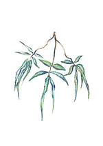 Hand painted Japanese Willow design 2. Three willow sections are draping downwards.