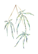 Hand painted Japanese willow 3. Three sections of the willow leaves are staggered and drapes downwards.