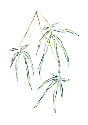 Hand painted Japanese willow 3. Three sections of the willow leaves are staggered and drapes downwards.