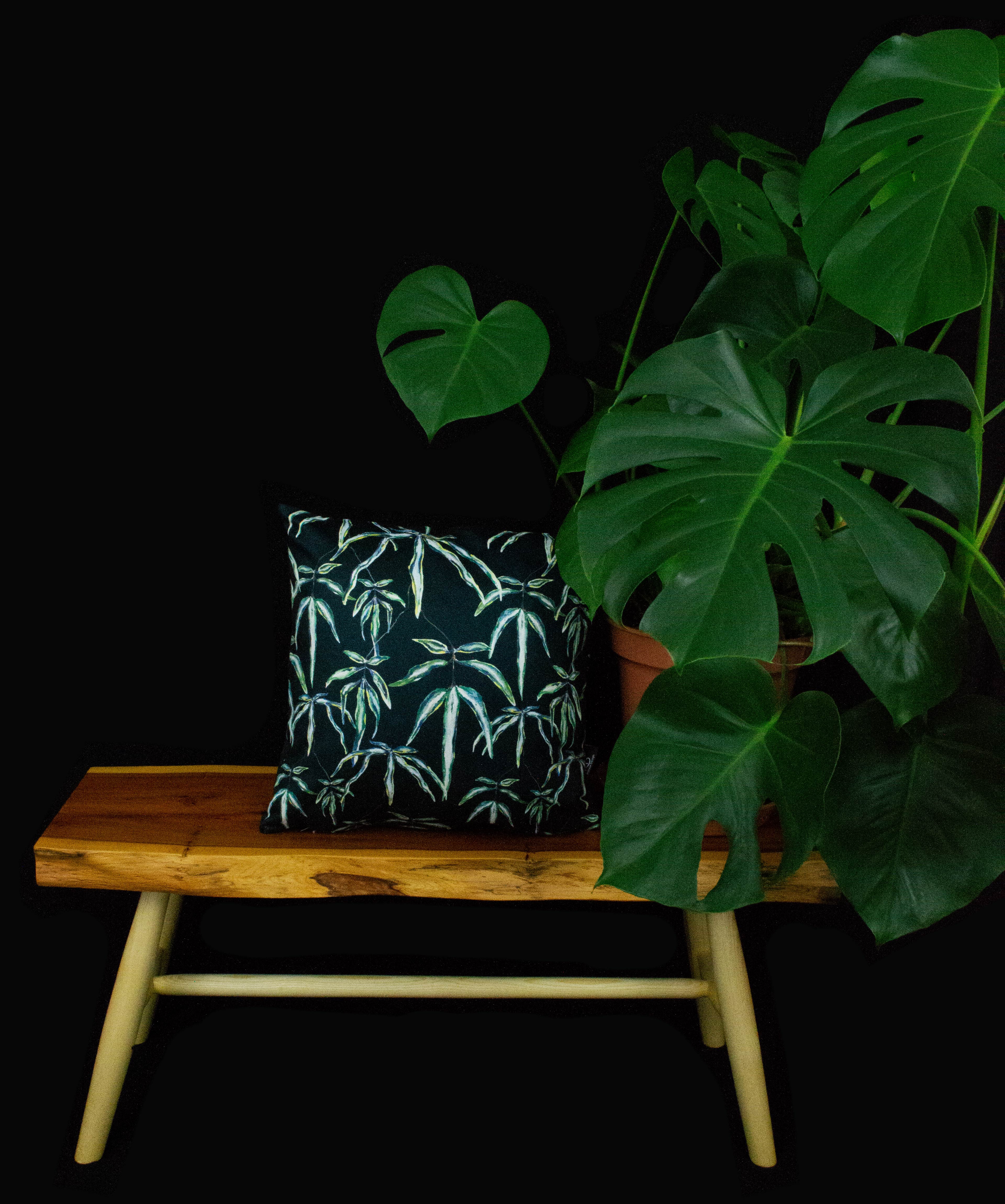 Tactile Connection cushion displayed on wooden table next to cheeseplant and black backdrop